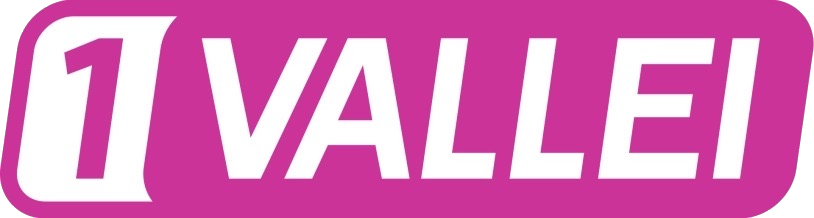 1 VALLEI radio-logo